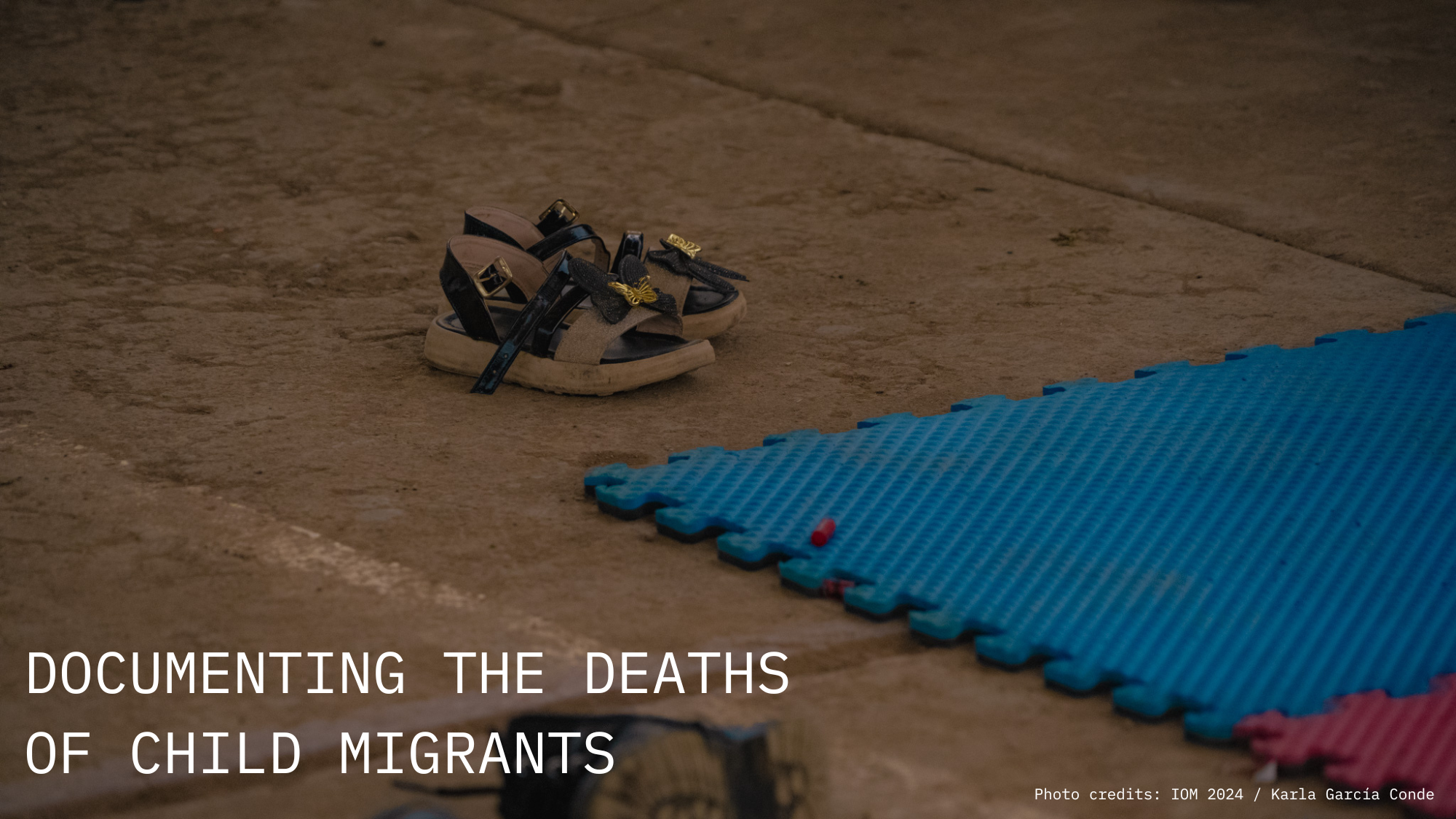 IOM Report